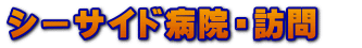シーサイド病院・訪問　