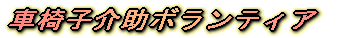 車椅子介助ボランティア