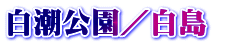 白潮公園／白島 