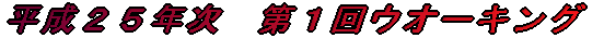 平成２５年次　第１回ウオーキング