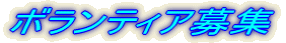 ボランティア募集