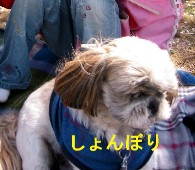 Ă那