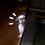許しませんよ