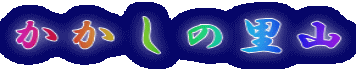 ̗R