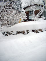２月２日雪景色つり堀亭前