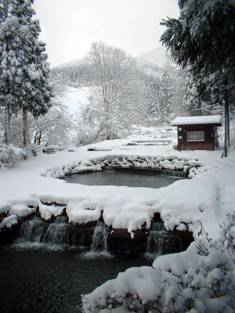 雪景色（つり堀を南側から撮影した風景）