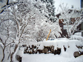 2005年1月の雪景色